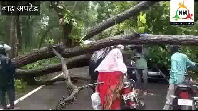 बाढ़ अपडेट : चार दिनों से हो रही  लगातार बारिश से यूपी के कई जिले बाढ़ की चपेट में