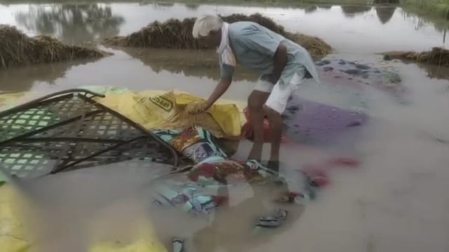 2 दिन से लगातार हो रही बारिश किसान पर आफत बनकर टूटी फसल हुई बर्बाद मुआवजे की की मांग