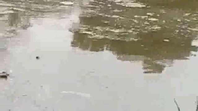 पपरेला व चंद्रबन में लोहागढ़ ड्रेन की सफाई ना होने के चलते पोखर हुई ओवरफ्लो गलियों में भरा पानी