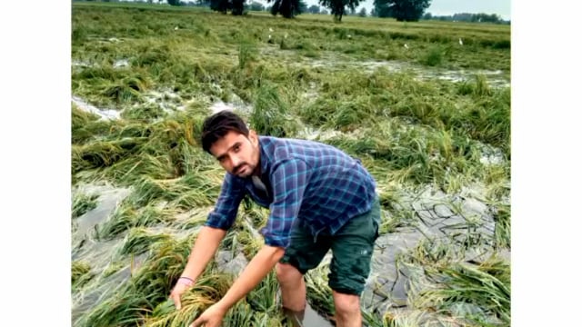 खैर तहसील में हर गांव में जाकर पटवारियों ने किया सर्वे कौन का कितना हुआ नुकसान