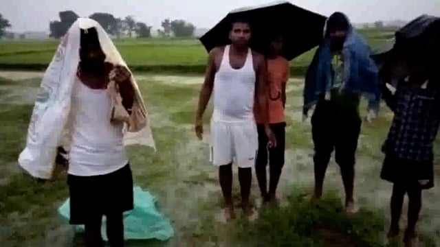 हवेली खड़गपुर भालुआकोल के समीप ठनका गिरने से मवेशी की मौत