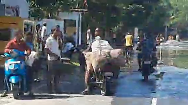 नवाबगंज थाना मार्ग पर बाढ़ का कहर आवागमन हो रहा बाधित लोग परेशान