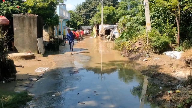 डुमरियागंज माली मैनहा में बाढ़ से बंधे में रिसाव से स्थानीय ग्रामीण दहशत में ।