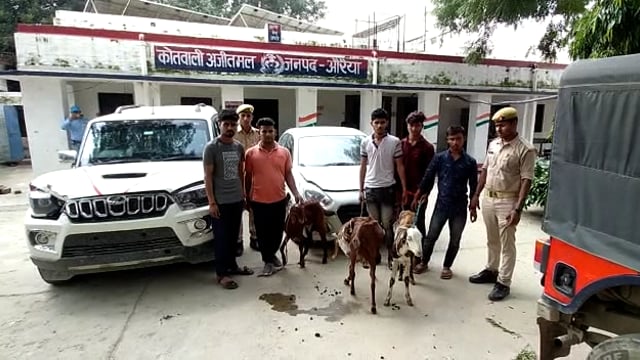 थाना अजीतमल पुलिस टीम ने बड़ी कार्यवाही करते हुए बकरा बकरी चोरी करने वाले गिरोह का भंडाफोड़