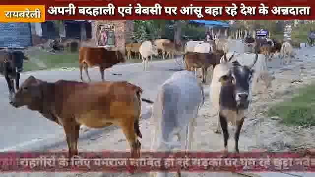 अपनी दुर्दशा एवं बेबसी पर आंशू बहा रहे देश के अन्नदाता