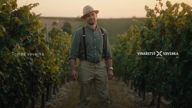 Náhled pro video reference