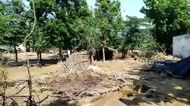 तरबगंज भीषण बाढ़ ने मचाई तबाही लोग घर से हुए बेघर देखिए खास रिपोर्ट