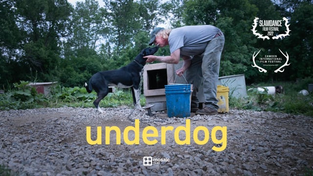 Underdog | Trailer