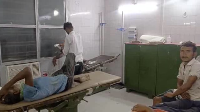 जंगली जानवर के हमले में वृद्धा सहित 4 घायल