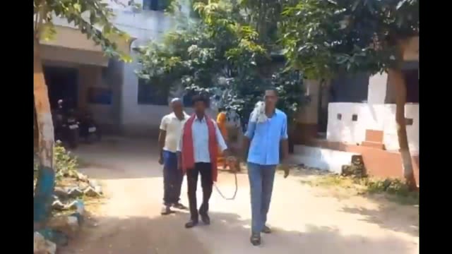 मारपीट अभियुक्त एवं 14 लीटर महुआ शराब के साथ तस्कर गिरफ्तार, जुर्माना भुगतान के लिए भेजा न्यायिक हिरासत में जेल