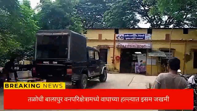 तळोधी बालापुर येथील चिखलगाव परिसरात वाघाच्या हल्ल्यात एक इसम जखमी. 