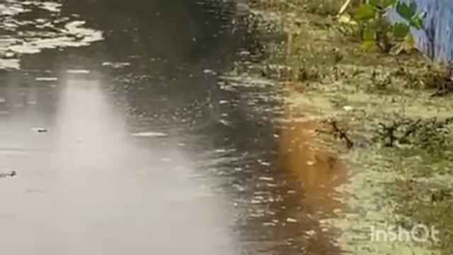 जलभराव और गंदगी का पर्याय बना इटियाथोक बाजार, बाजार वासियों ने शिकायती पत्र देकर समस्या के समाधान की उठाई मांग