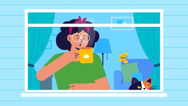 RSPCA / Cat Care Programme