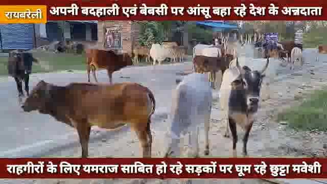 अपनी बेबसी एवं बदहाली पर आंसू बहा रहे किसान