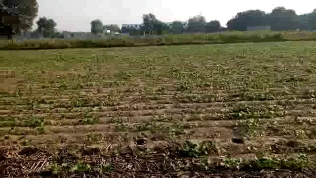 भारतीय किसान की मेहनत: परिणाम राम भरोसे 