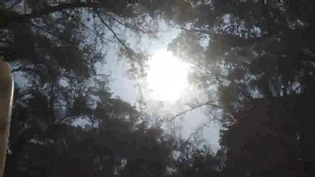 दीपावली पर्व पर सूर्य ग्रहण के लगने से आज के दिन नहीं होगी गोवर्धन पूजा।