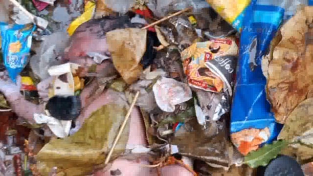 नवजात बच्ची का शव नाली में बहकर पहुंचा द्वारकाधीश मंदिर के नीचे बच्ची का शव मिलने से मचा हड़कंप पहुंची पुलिस