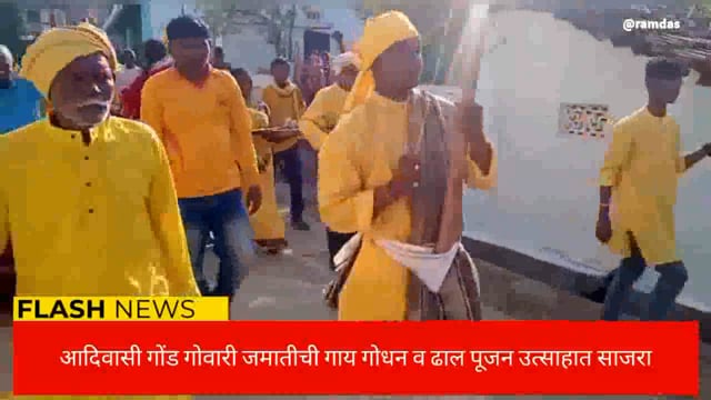 आदिवासी गोंड गोवारी जमातीची गाय गोधन व ढाल पूजन मोठ्या उत्साहात साजरी