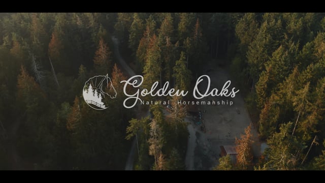 Golden Oaks film still