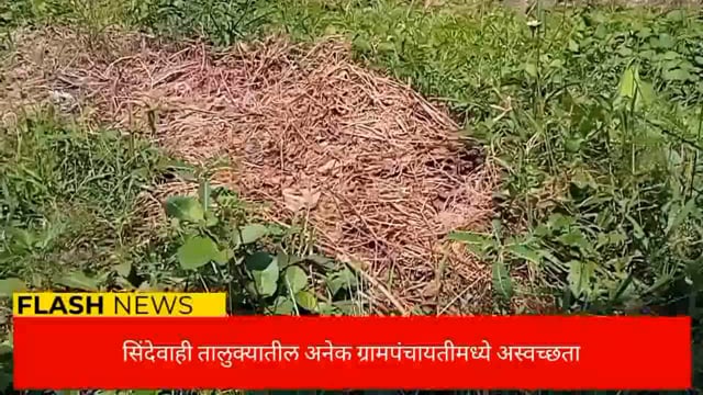 अनेक ग्रामपंचायत ग्राम स्वच्छता अभियान केवळ कागदावरच.अशा सरपंच व सचिव यावर कारवाई करा. 