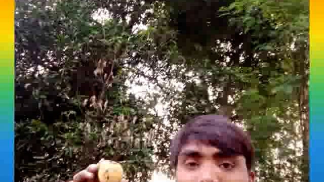 बेमौसम लीलामृत का फल