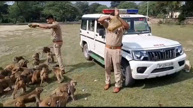 खाकी का मानवीय चेहरा
थाना अंतू प्रभारी निरीक्षक अर्जुन सिंह ने बंदरों को खिलाया चना
कार्तिक माह में पुण्य का कार्य