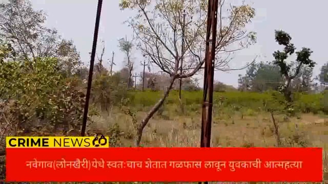 नवेगाव लोनखैरी येथे स्वतःचा शेतात युवकांनी केली गळफास लावून आत्महत्या. 