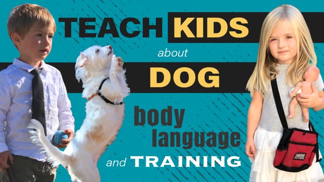 Legends Dog Training