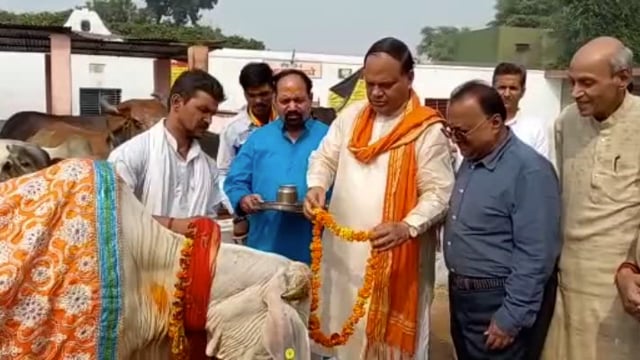 भगवान श्री कृष्ण की गौचरण स्थली वृंदावन में धूमधाम से मनाया गया गोपाष्टमी पर्व।