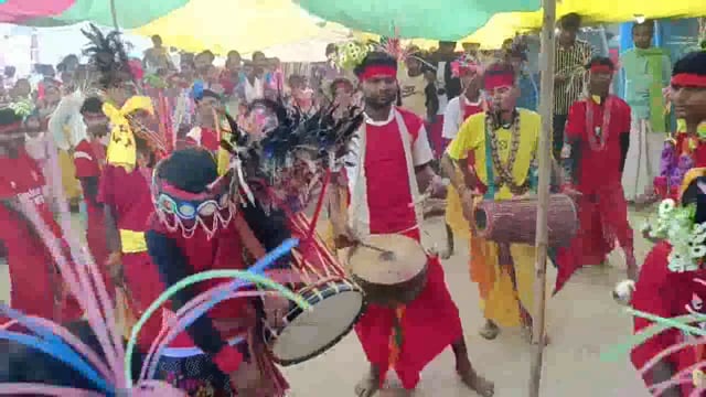 नीमटोला गांव में आदिवासियों का पारंपरिक त्यौहार कर्मा धर्मा हर्षोल्लास के साथ मनाया गया