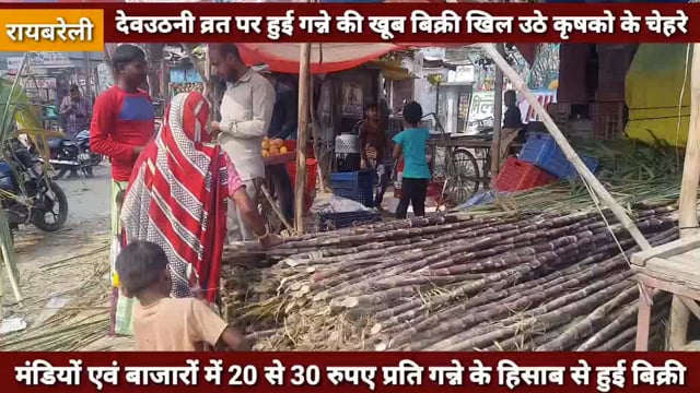 देवउठनी व्रत पर खूब हुई गन्ने की बिक्री