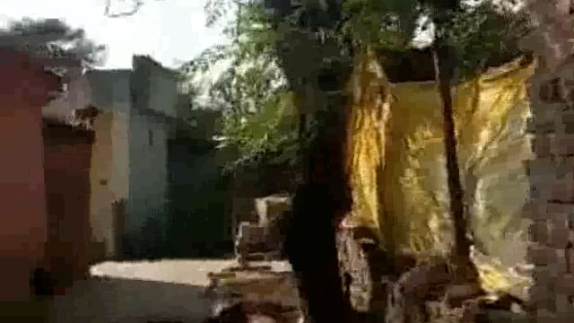 कठौतिया में बंदरों के आतंक से ग्रामीण परेशान ।