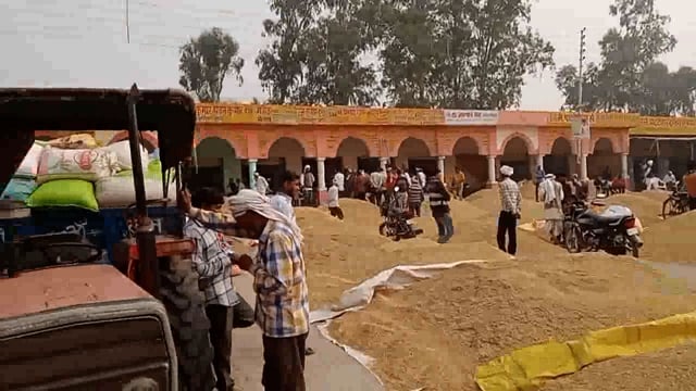 खैर नवीन अनाज मंडी तारीख 7 को रहेगी बंद मंडी सचिव ने जानकारी देते हुए बताया धान की अधिक आवक के चलते 