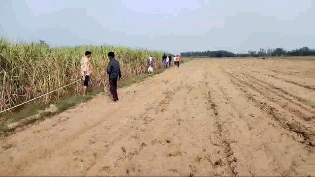 तरबगंज: कई वर्षों से विवादित चक मार्ग का लेखपाल ने की पैमाइश