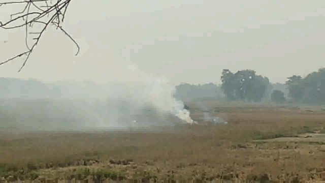 इटवा तहसील क्षेत्र में सरकारी आदेश बेअसर लोग धड़ल्ले से जला रहे पराली ।