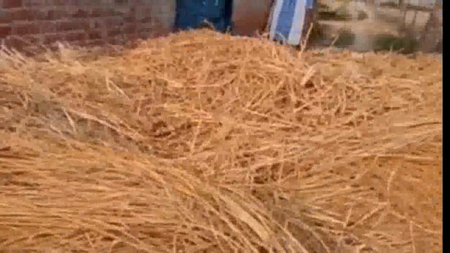 फौजी के पक्के मकान पर दबंगई हरंगई पूर्वक कुल्हाड़ी से तोड़ फोड़ करने का वीडियो वायरल
थाना संग्रामगढ़ ग्राम पिथनपुर 