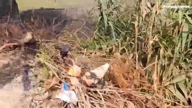 गंभीर बीमारी फैली हुई है नाराज व्यक्ति ने नगर पालिका प्रशासन से की अपील