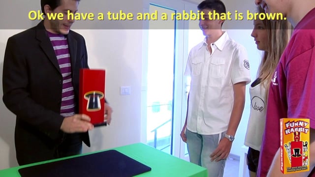 Video Funny Rabbit 