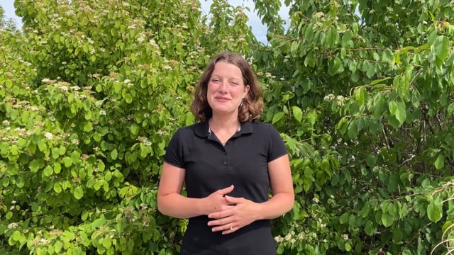 Video-Testimonial 771479544