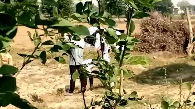 दबंगों की दबंगई: काटा चकरोड