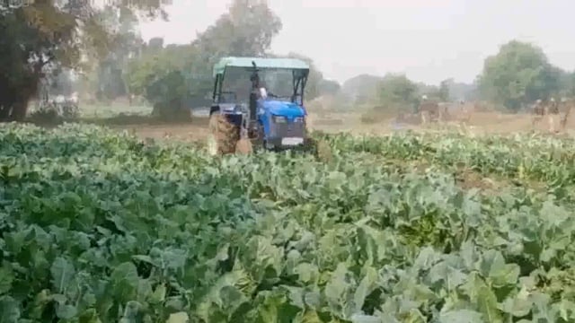  खेत में खड़ी फसल को जोतने पर  सर्वे विभाग की अधिकारी के पैर पकड़कर रहम की भीख मांगता दिखा एक बच्चा।