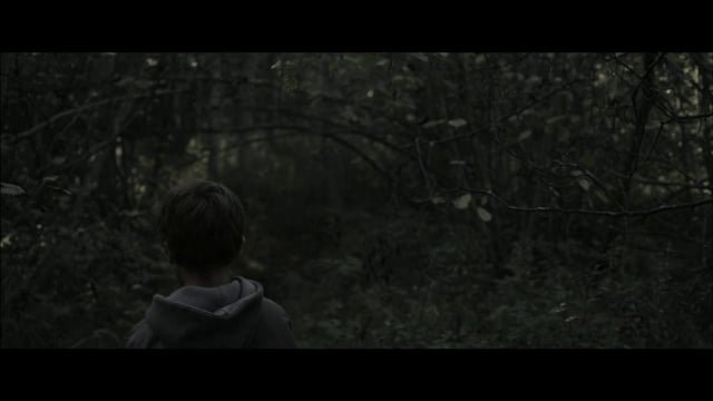 Teaser