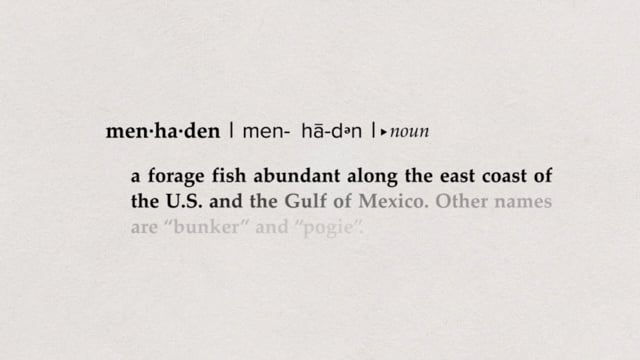 Menhaden-TBLFYNS_TRAILER 2 MINS.mp4
