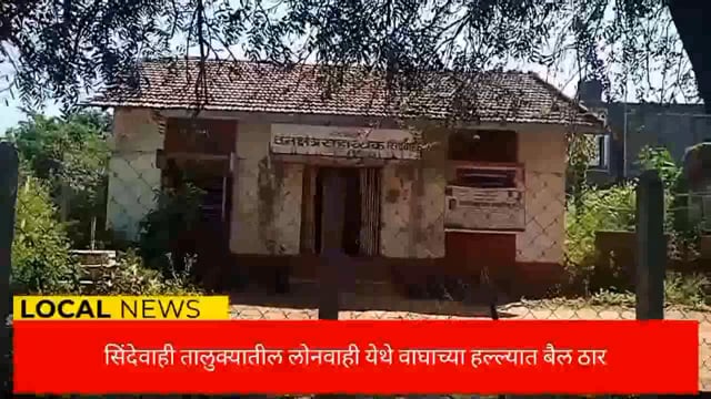 चंद्रपूर जिल्ह्यातील सिंदेवाही तालुक्यातील लोनवाही येथे वाघाच्या हल्ल्यात बैल ठार. 