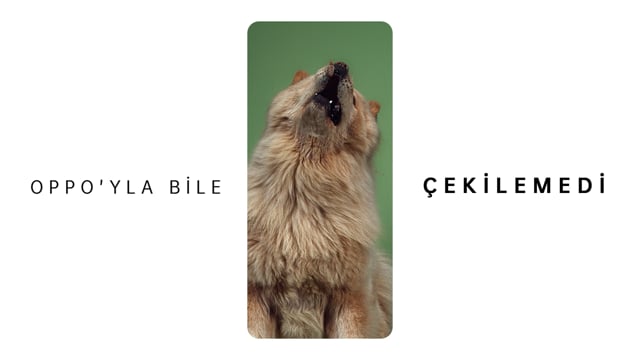 Oppo Reno 6 — Oppo'yla Bile Çekilemedi