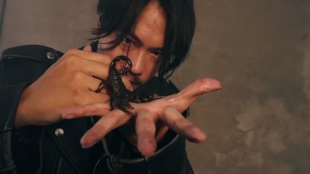 Video Scorpion Playing Cards by Zack - Classic edition