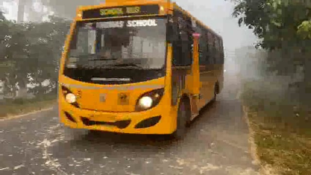 जिले में कोहरे ने दी दस्तक विजुवलटी 10 मीटर सब्जी कि खेती के लिए साबित होगा लाभदायक ।