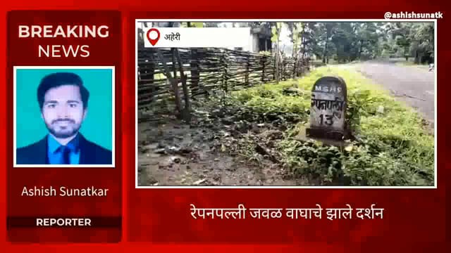 आज दुपारी कमलापुर जवळ झाले वाघाचे दर्शन 