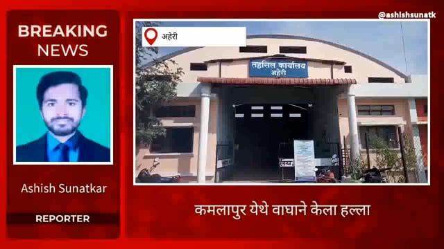 कमलापुर येथे दुचाकीवर वाघाने केला हल्ला