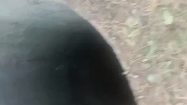 तहसील खैर क्षेत्र के गांव बाकनेर मैं कुएं में गिरी गाय प्रशासन व ग्रामीणों की मदद से गाय को कुएं से बाहर निकाला गया